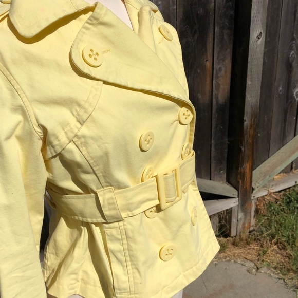 Yellow jacket - Picture 2 of 6